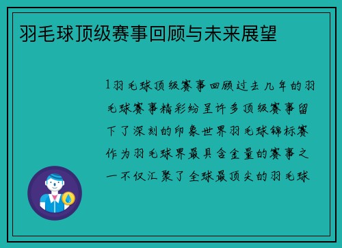 羽毛球顶级赛事回顾与未来展望